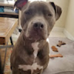 Meet your Posher, Gerardo